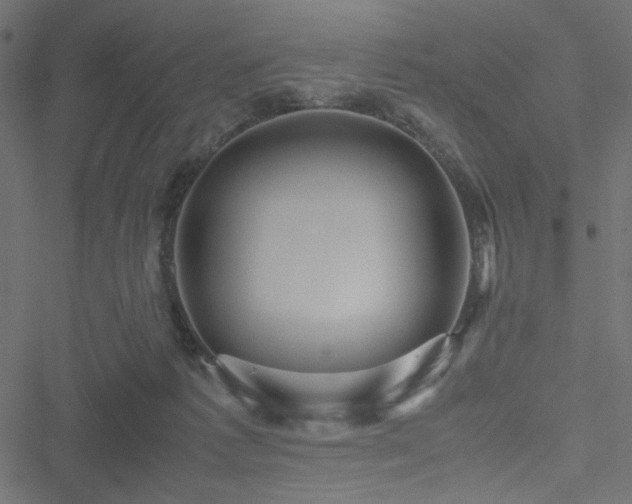 X0000051250221200506171144