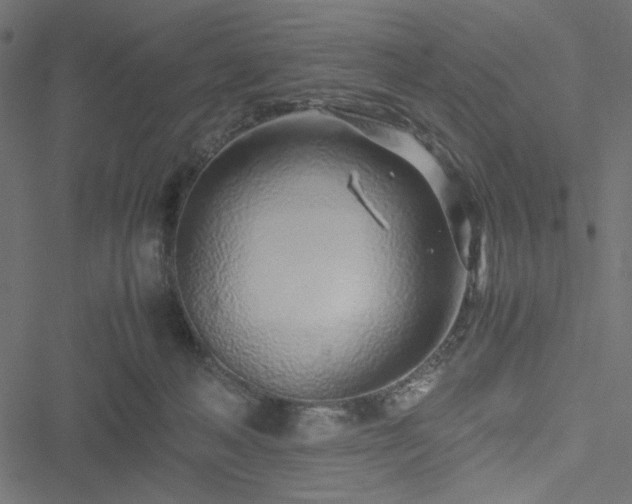 X0000051250222200506171144