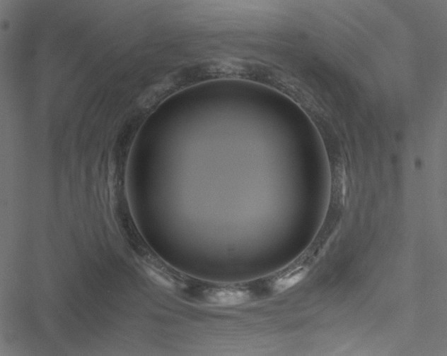 X0000051250223200506171144