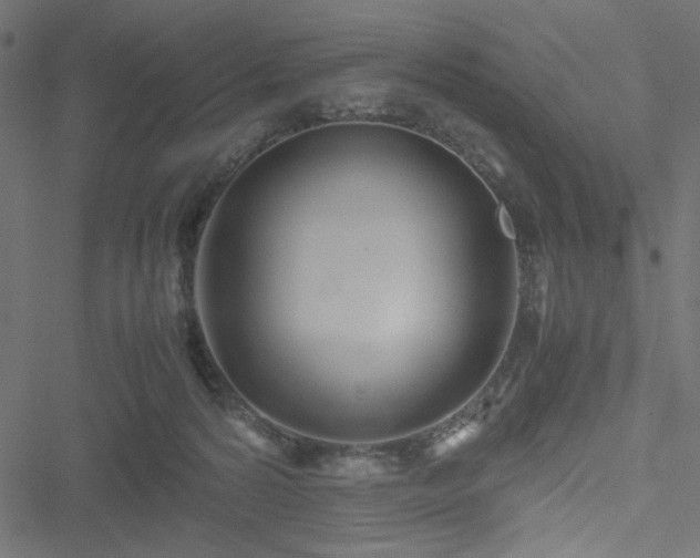 X0000051250224200506171144