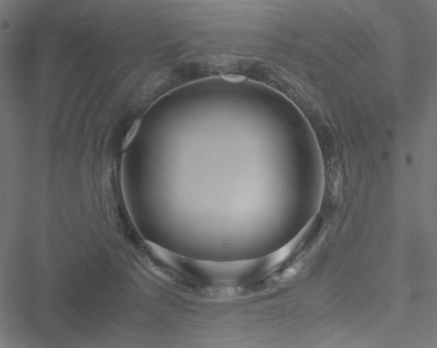 X0000051250225200506171144