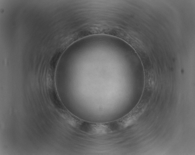 X0000051250226200506171144