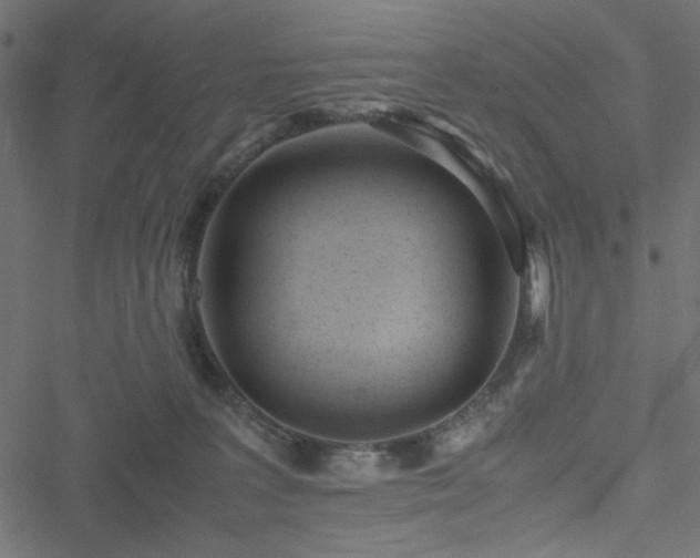 X0000051250227200506171144