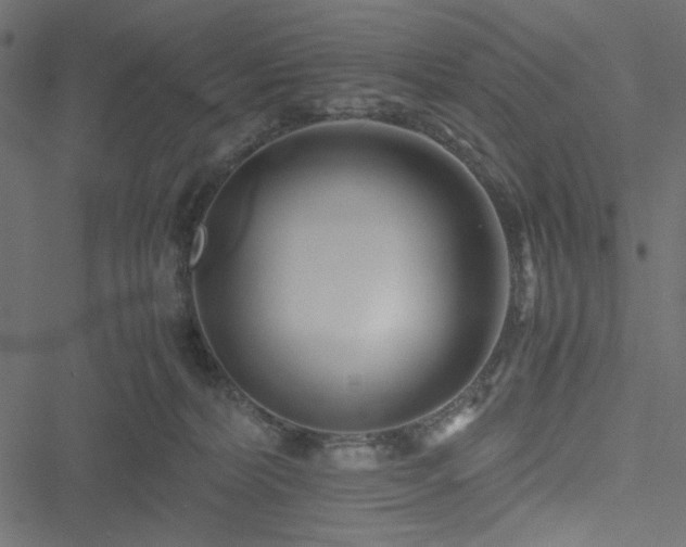 X0000051250228200506171144