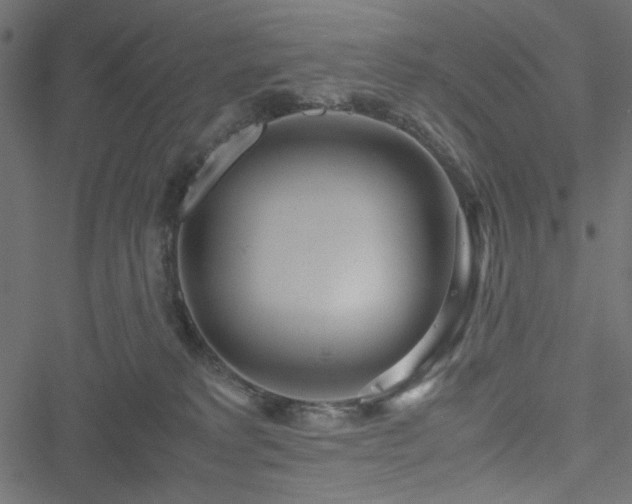 X0000051250229200506171144