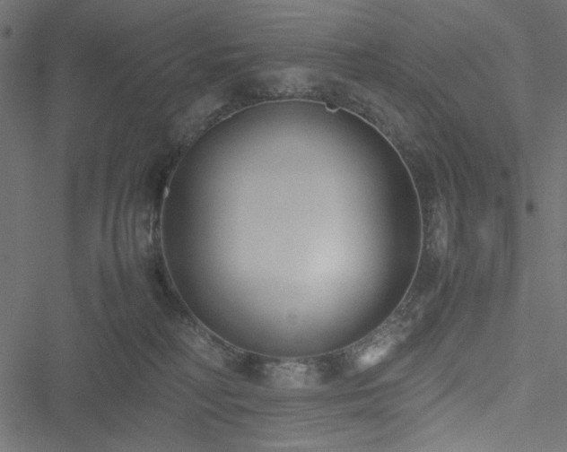 X0000051250230200506171144