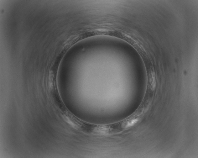 X0000051250231200506171144