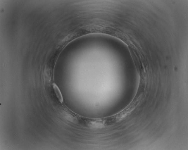 X0000051250232200506171144