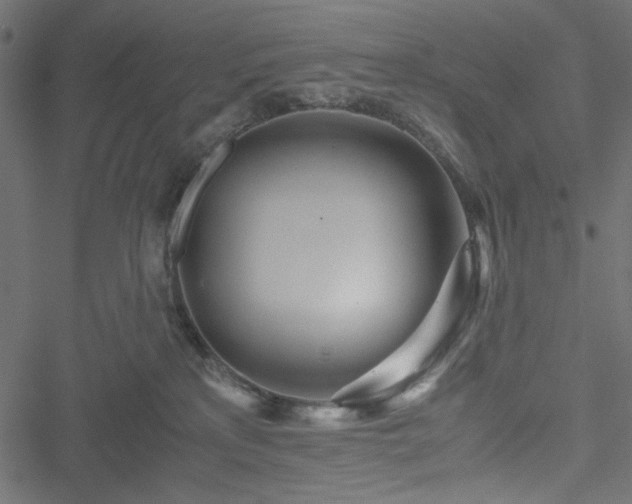 X0000051250233200506171144