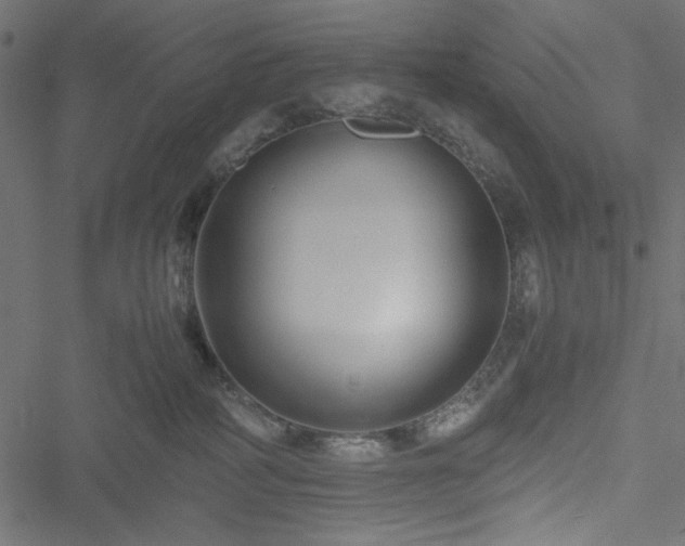 X0000051250234200506171144