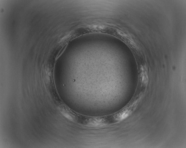 X0000051250235200506171143