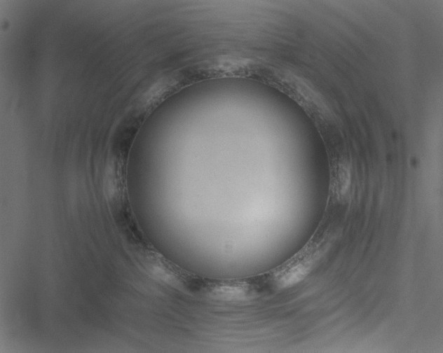 X0000051250236200506171143