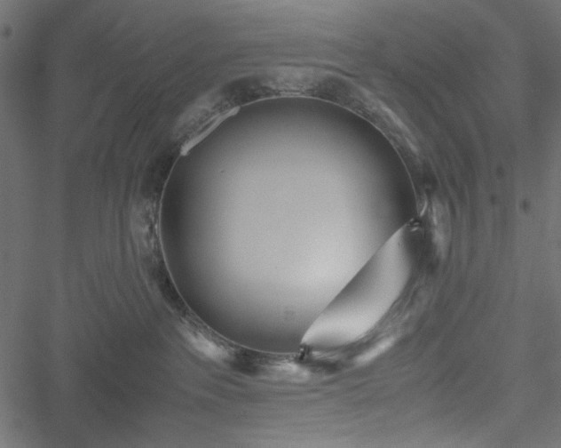 X0000051250237200506171143