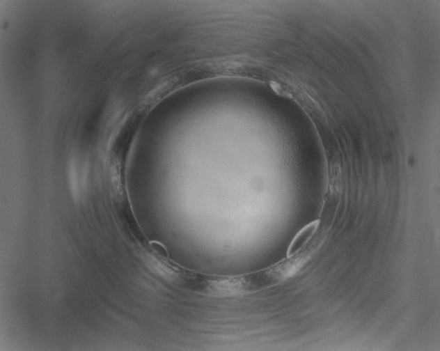 X0000051250238200506171143