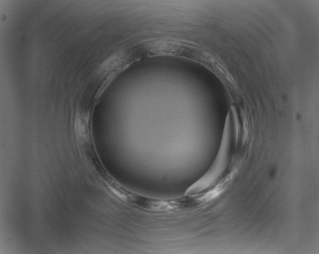 X0000051250239200506171143