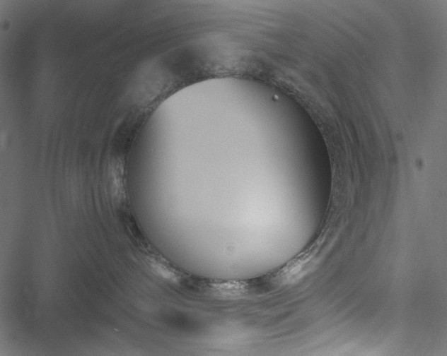 X0000051250240200506171143