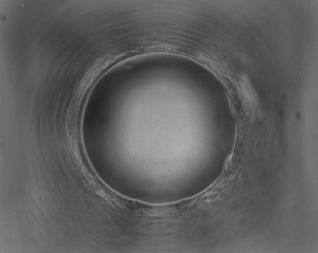 X0000051250241200506171143