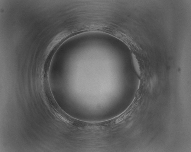 X0000051250242200506171143