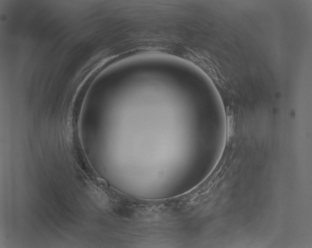 X0000051250243200506171143