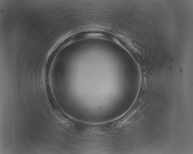 X0000051250244200506171143