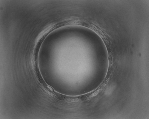 X0000051250245200506171143