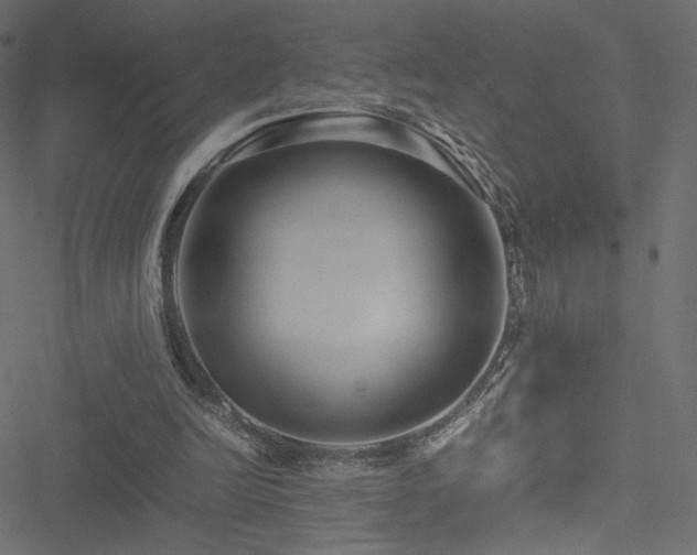 X0000051250246200506171143