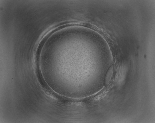 X0000051250247200506171143