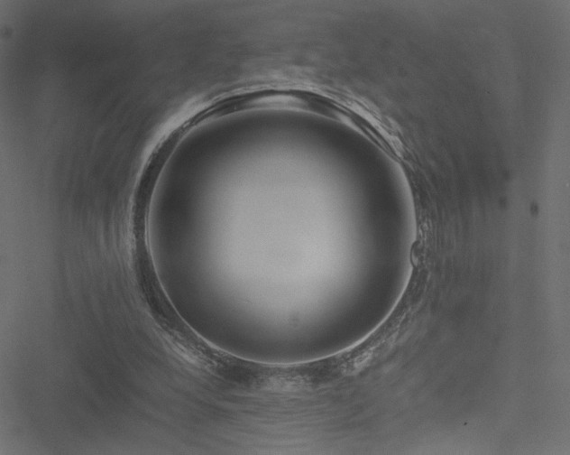 X0000051250248200506171143