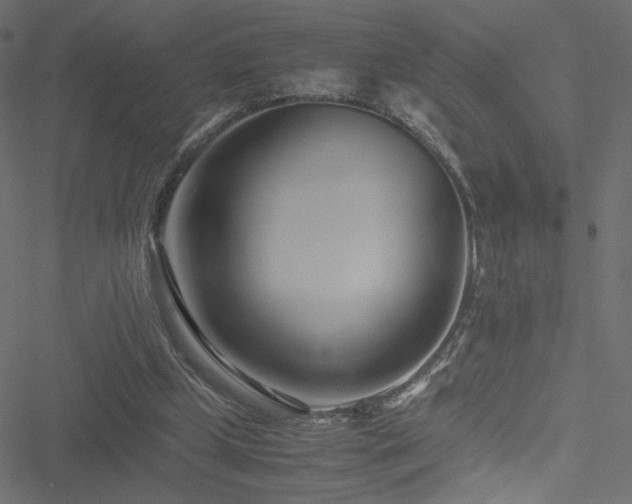 X0000051250249200506171143