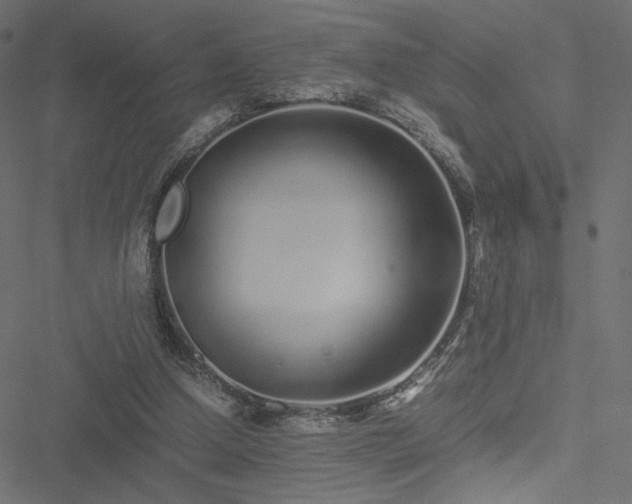 X0000051250250200506171143