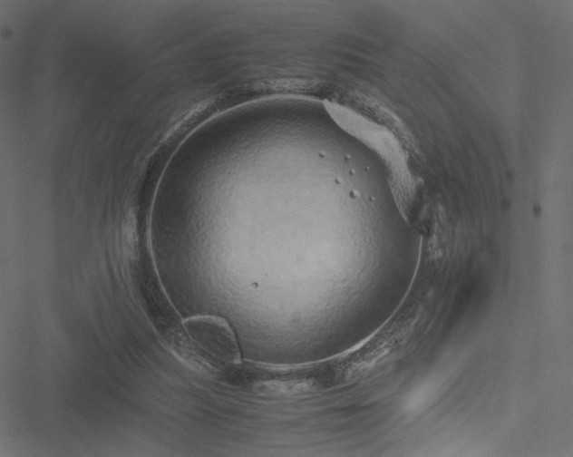 X0000051250251200506171143