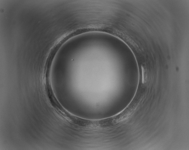 X0000051250252200506171143