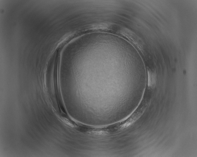 X0000051250253200506171143