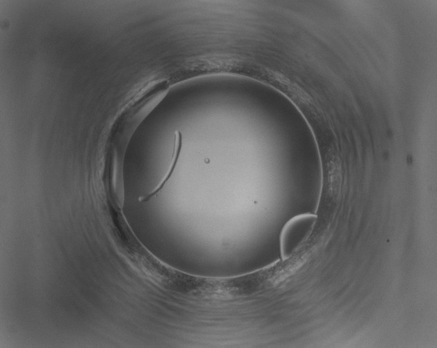 X0000051250254200506171143