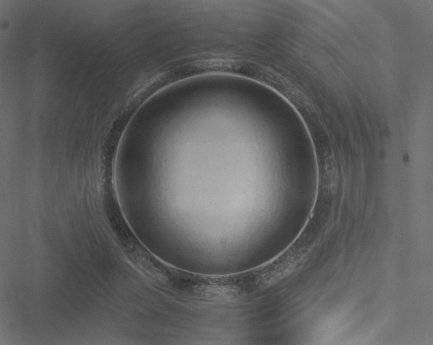 X0000051250255200506171143