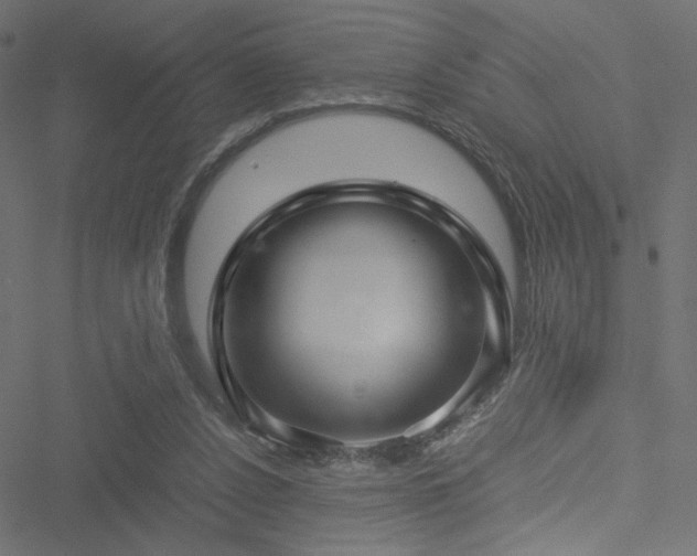 X0000051250256200506171143