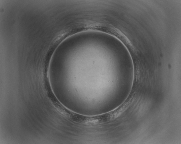 X0000051250257200506171143