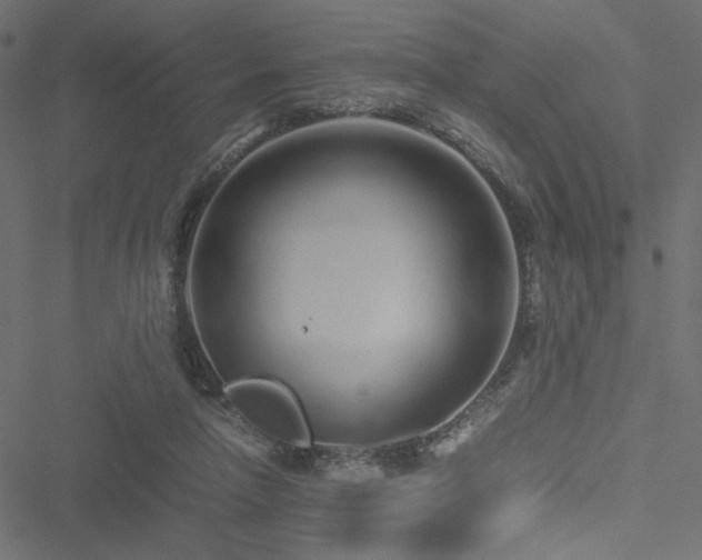 X0000051250258200506171143