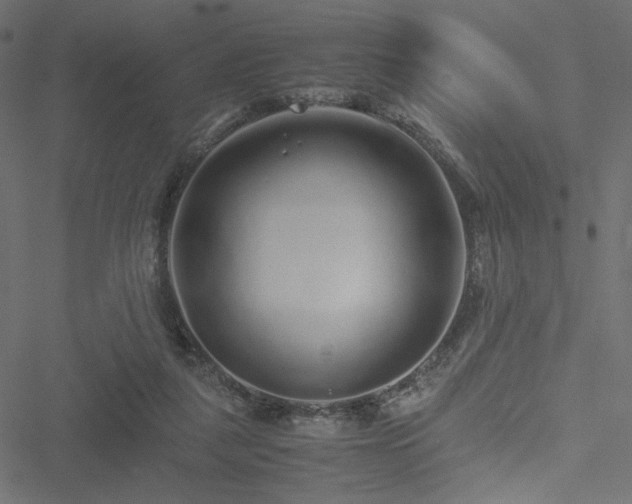 X0000051250259200506171143