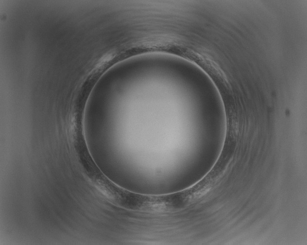 X0000051250260200506171143