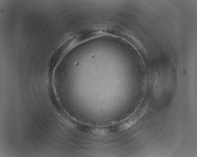 X0000051250261200506171143