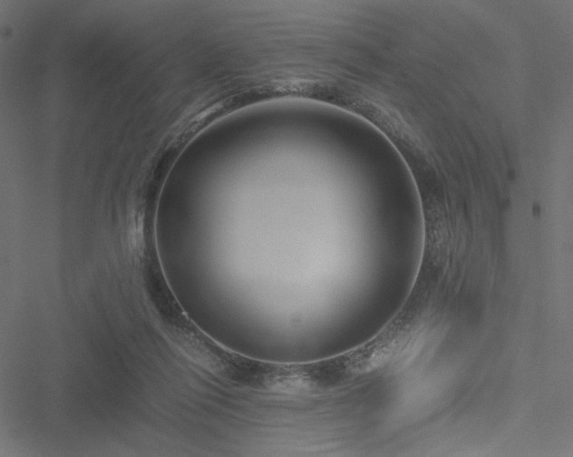 X0000051250262200506171143