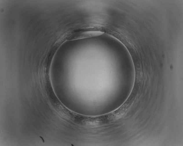 X0000051250263200506171143