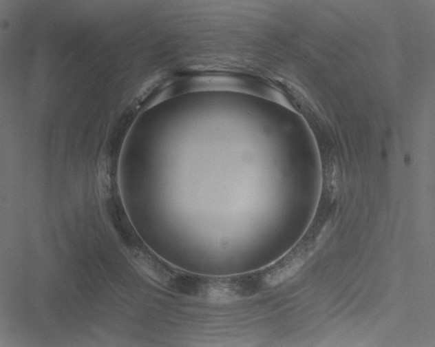 X0000051250264200506171143