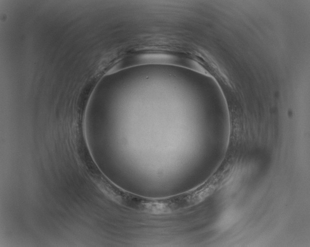 X0000051250265200506171143