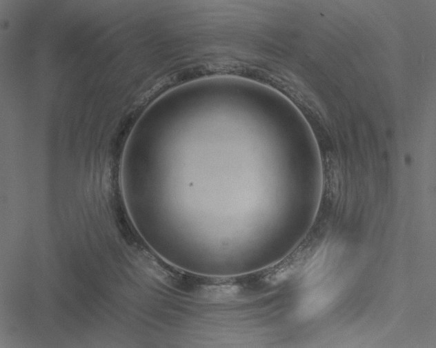 X0000051250266200506171143