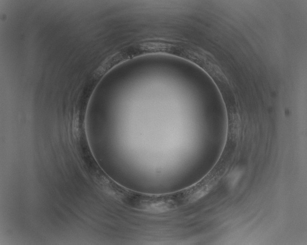 X0000051250267200506171143