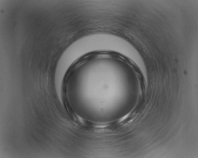 X0000051250268200506171143