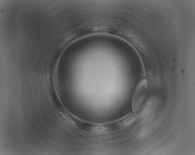 X0000051250269200506171143