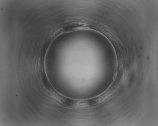 X0000051250270200506171143